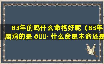 83年的鸡什么命格好呢（83年属鸡的是 🕷 什么命是木命还是水 🍀 命）